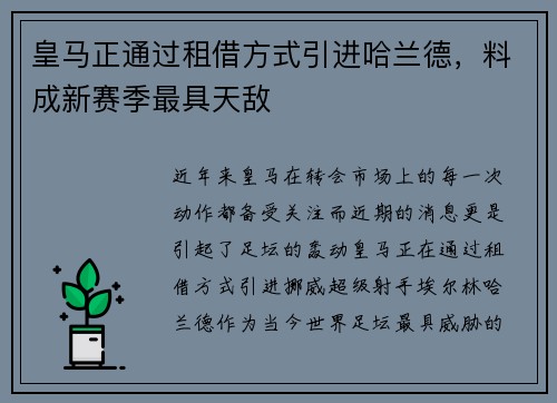 皇马正通过租借方式引进哈兰德，料成新赛季最具天敌